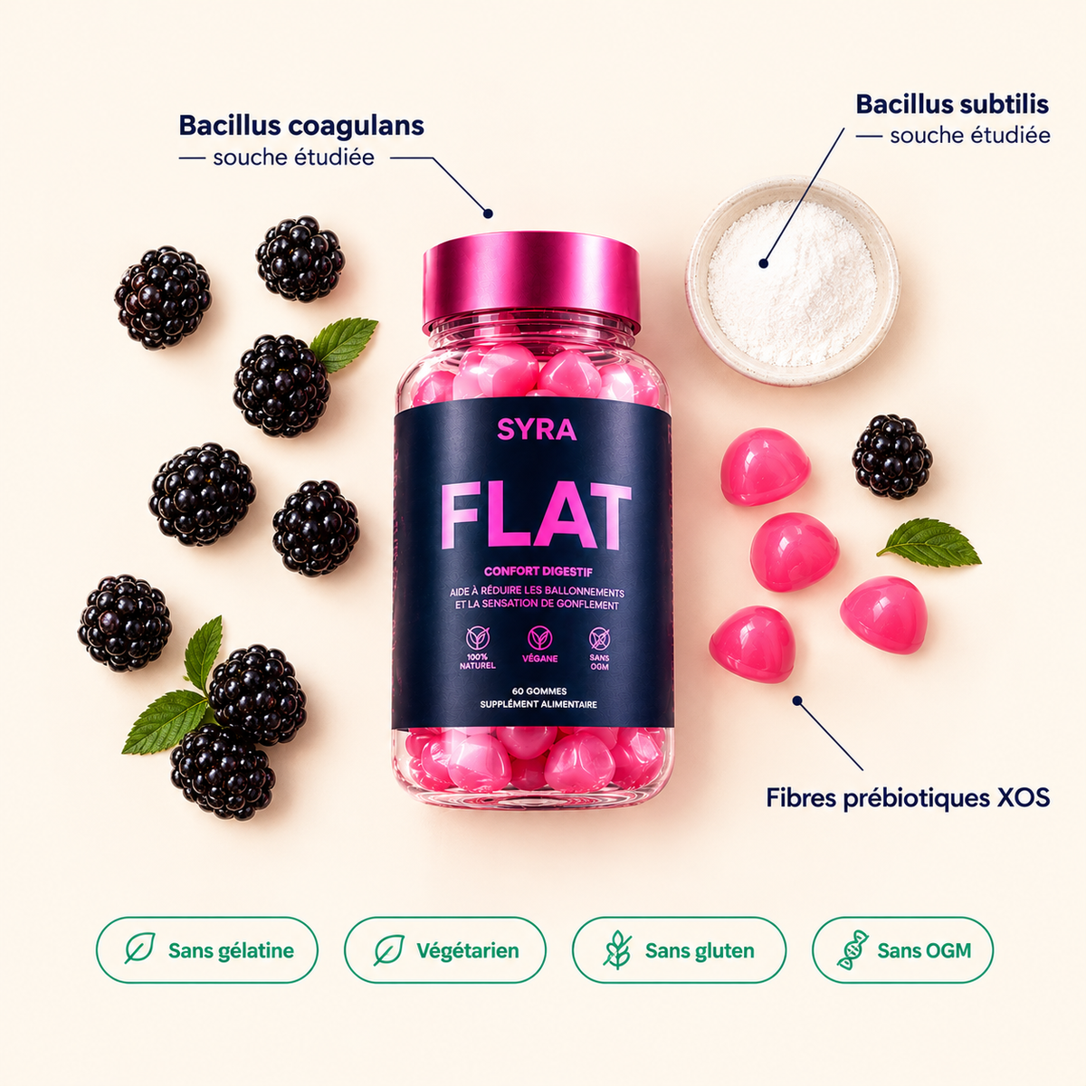 Syra Flat — photo 4